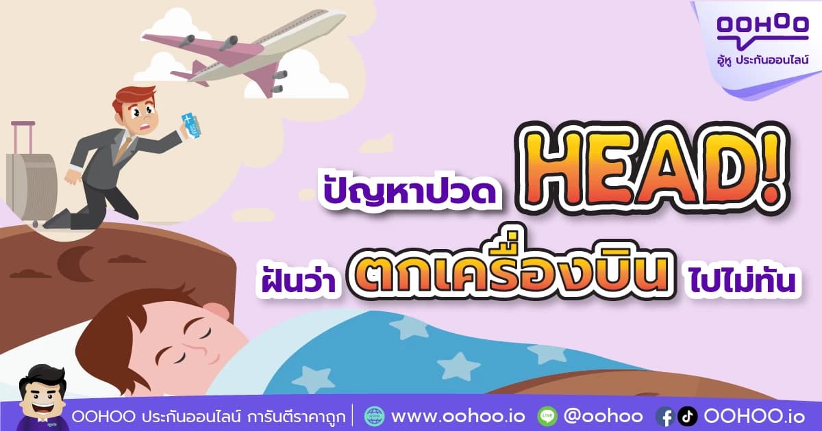ฝันว่าตกเครื่องบินไปไม่ทัน