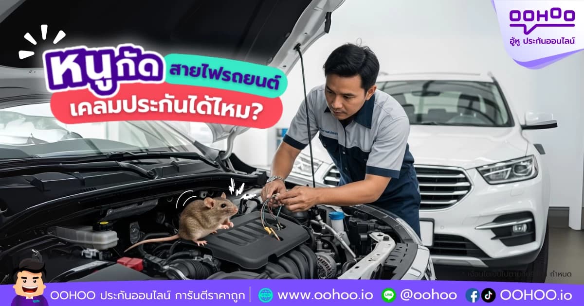 หนูกัดสายไฟรถยนต์ เคลมประกันได้ไหม?